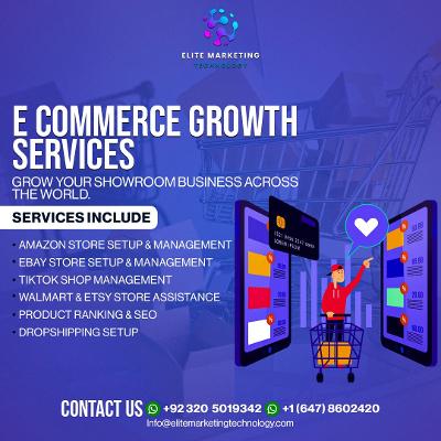 Digital Services: Software, Social Media & SEO Solutions